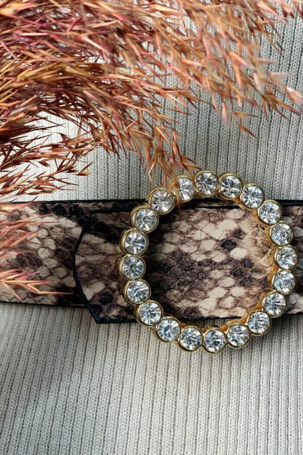 9031 Yılan Derisi Taşlı Kemer Kahverengi - 6